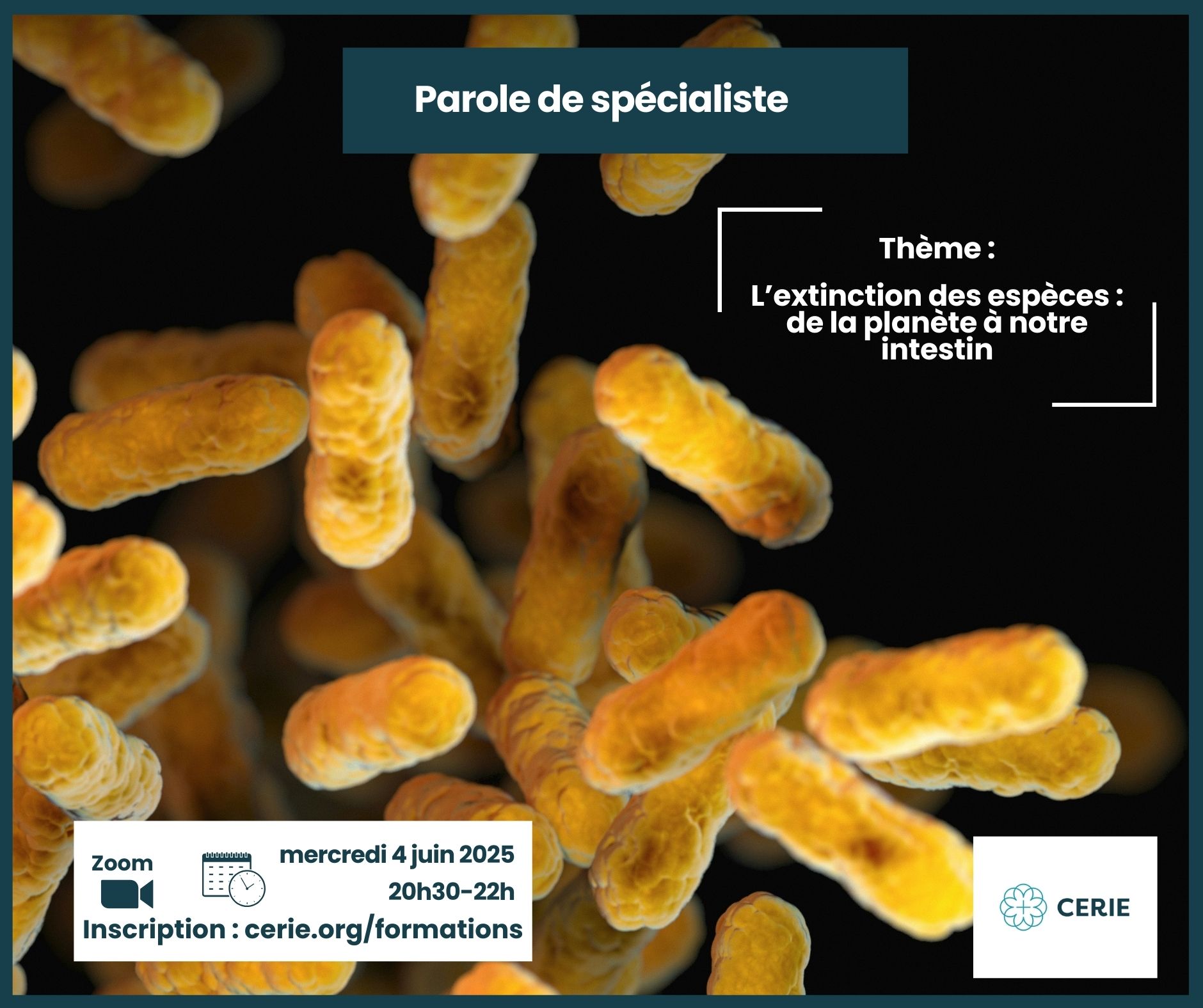Parole de spécialiste CERIE